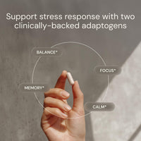 Thumbnail for Blueprint Bryan Johnson Ashwagandha & Rhodiola Supplement – 120mg Ashwagandha + Rhodiola Root – Daily Adaptogen Capsules for Stress Support, Mood Balance, Energy & Focus – 30 Vegan Capsules