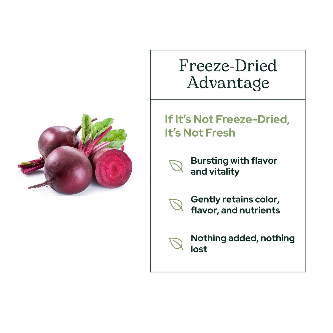 ECLECTIC INSTITUTE Raw Fresh Freeze-Dried Beet Juice Powder | 3.2 oz