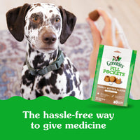 Thumbnail for Greenies Pill Pockets for Dogs Large Size, Dog Treat Pouch for Capsule Medication, Peanut Butter Flavor, 15.8 oz. Pouch