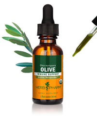Thumbnail for Herb Pharm Certified Organic Olive Leaf Liquid Extract for Immune System Support - 1 Ounce