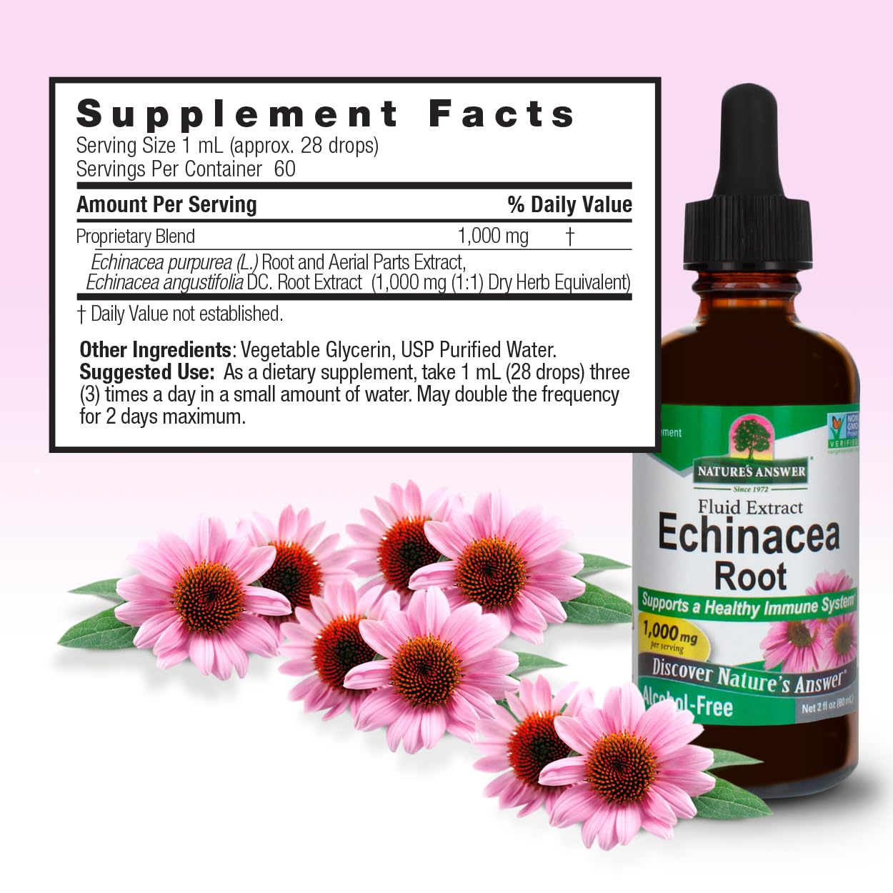 ature's Answer Echinacea Extract | Supports a Healthy Immune System | Vegan, Gluten-Free, Alcohol-Free, Non-GMO & Kosher Certified | 1oz