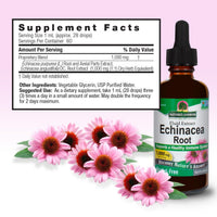 Thumbnail for ature's Answer Echinacea Extract | Supports a Healthy Immune System | Vegan, Gluten-Free, Alcohol-Free, Non-GMO & Kosher Certified | 1oz