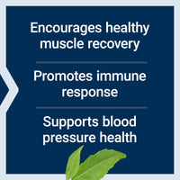 Thumbnail for Life Extension Arginine Ornithine Powder, Promotes Muscle Health & Recovery, Gluten Free, Non-GMO, net Weight 150 Grams