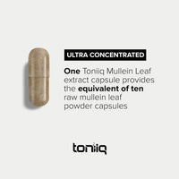 Thumbnail for Toniiq Mullein Leaf Capsules - Ultra High Potency 10:1 Extract - 1300mg Per Serving - Highly Concentrated - Third-Party Lab Tested - 120 Capsules