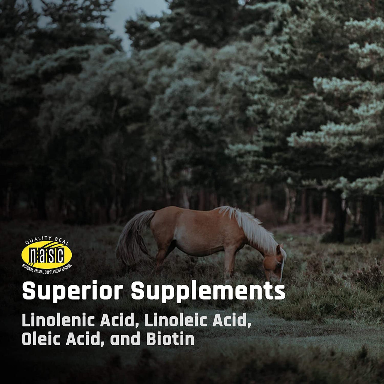 Majesty's BIO+ Biotin Wafers - Superior Horse / Equine Hoof and Coat Support Supplement - Copper, Zinc, Lysine, Methionine (60 count)