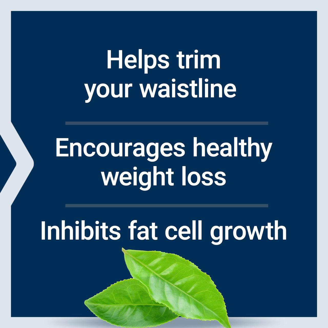 Life Extension Waistline Control™, S. indicus, Mangosteen, Meratrim®, Healthy Weight, Waistline, Non-GMO, Gluten Free, Vegetarian, 60 Capsules