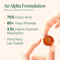 Thumbnail for ROOT LABS 10-in-1 Alpha Shilajit Gummies | 4000 mg Pure Himalayan Shilajit with Tongkat Ali & Maca Root | for Men & Women | ShilAbsorb Bioavailability Tech | Sugar-Free, Vegan | 60 Gummies