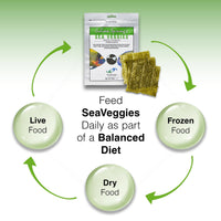 Thumbnail for Two Little Fishies Atlsvgs4 Sea Veg-Green Seaweed, 1 Oz