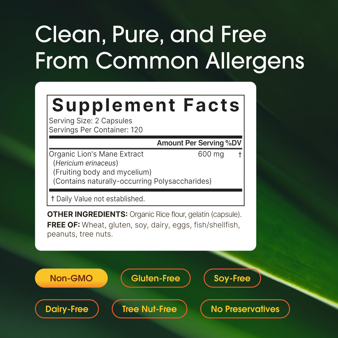 NatureBell Lion’s Mane - 240 Capsules - Organic Fruiting Body & Mycelium - Brain, Immune & Energy Support* - High-Potency Extract - Non-GMO & Gluten-Free