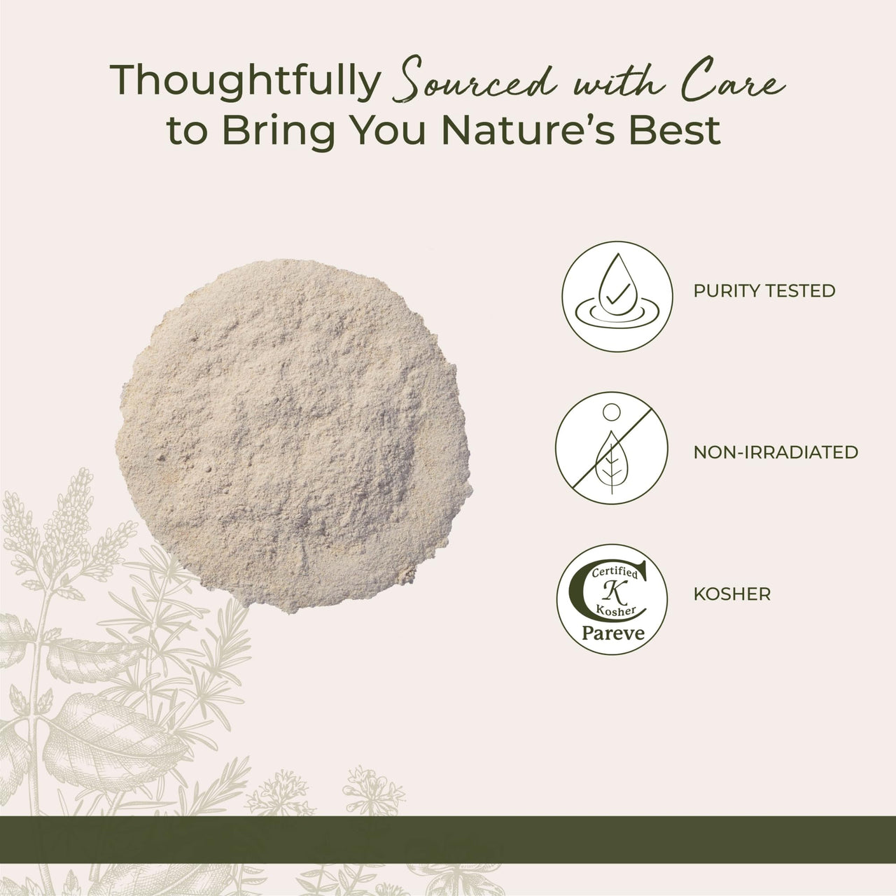Starwest Botanicals Astragalus Root Powder, 1 Lb