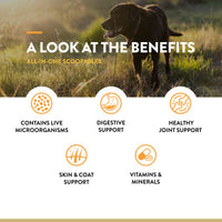 Thumbnail for NaturVet Scoopables All-in-One Multivitamin for Dogs - Dog Vitamins and Supplements for Joint Support, Digestion, Skin & Coat Care & Immune - Hickory Smoked Bacon Flavor Vitamin Supplement | 11oz Bag