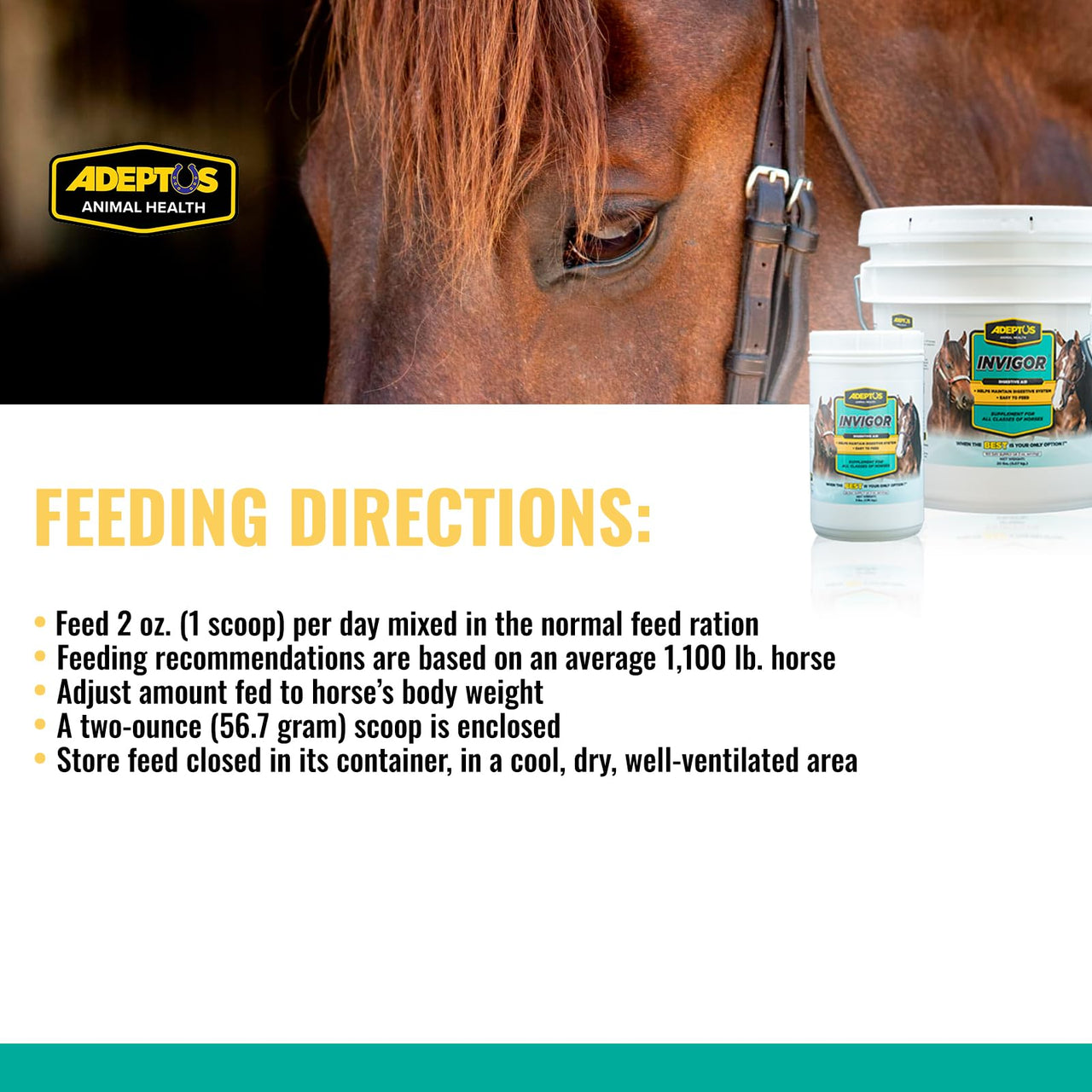 Adeptus Nutrition Invigor Equine Digestive Support Supplement, Daily Prebiotic Yeast Formula with Hydrolyzed & Dehydrated Yeast, Low-Sugar Feed Topper for All Classes of Horses, 3 Lbs