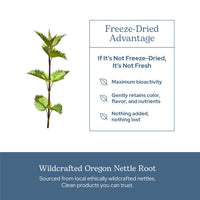 Thumbnail for Eclectic Herb - Nettle Root Capsules | Prostate, Urinary Tract, and Male Health Support | Vegan, Non-GMO, Gluten Free, Freeze-Dried (90 CT | 250 mg)