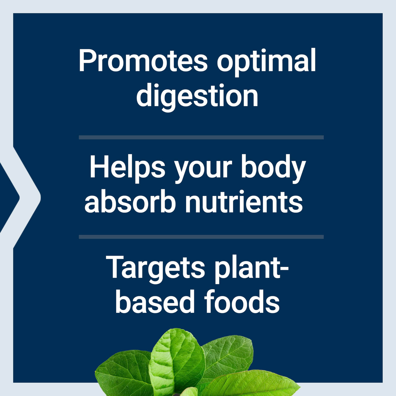 Life Extension Enhanced Super Digestive Enzymes, Supports Digestion, Comfort, digesting Plant-Based Foods, Non-GMO, Vegetarian, 60 Capsules