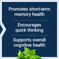 Thumbnail for Life Extension Neuro-Mag Magnesium L-Threonate, Magnesium L-threonate, Memory Health, Quick Thinking, Cognitive Health Support, Vegetarian, Non-GMO, 90 Vegetarian Capsules