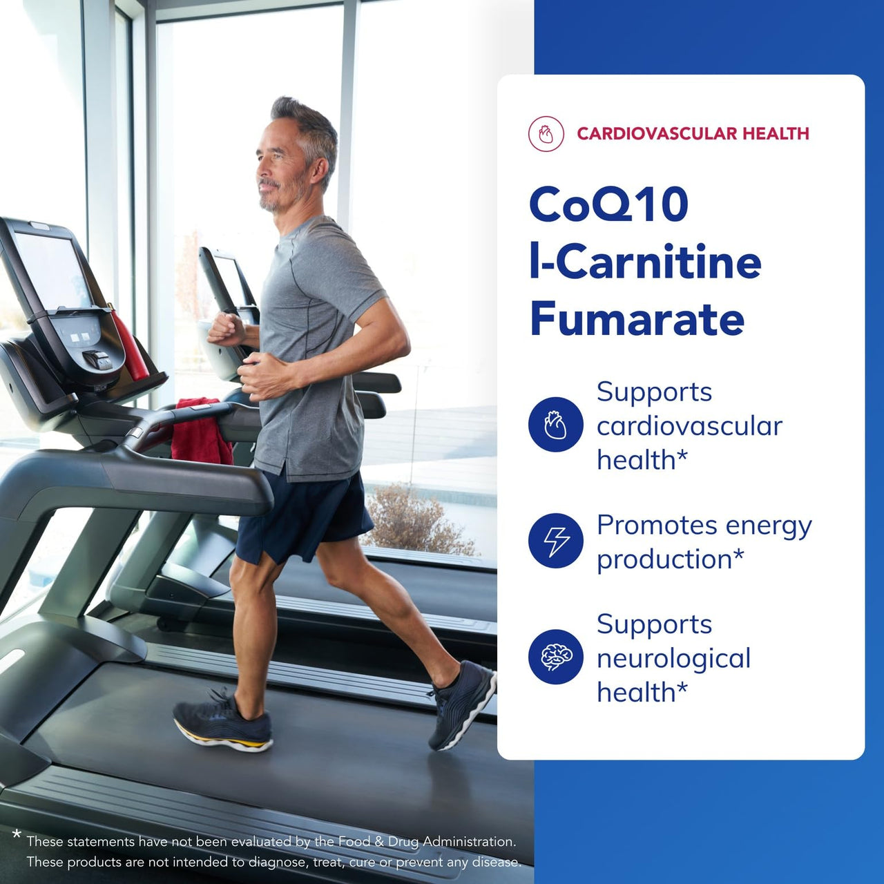 Pure Encapsulations CoQ10 l-Carnitine Fumarate | Ultra-Charged Cardiovascular Support* | 120 Capsules