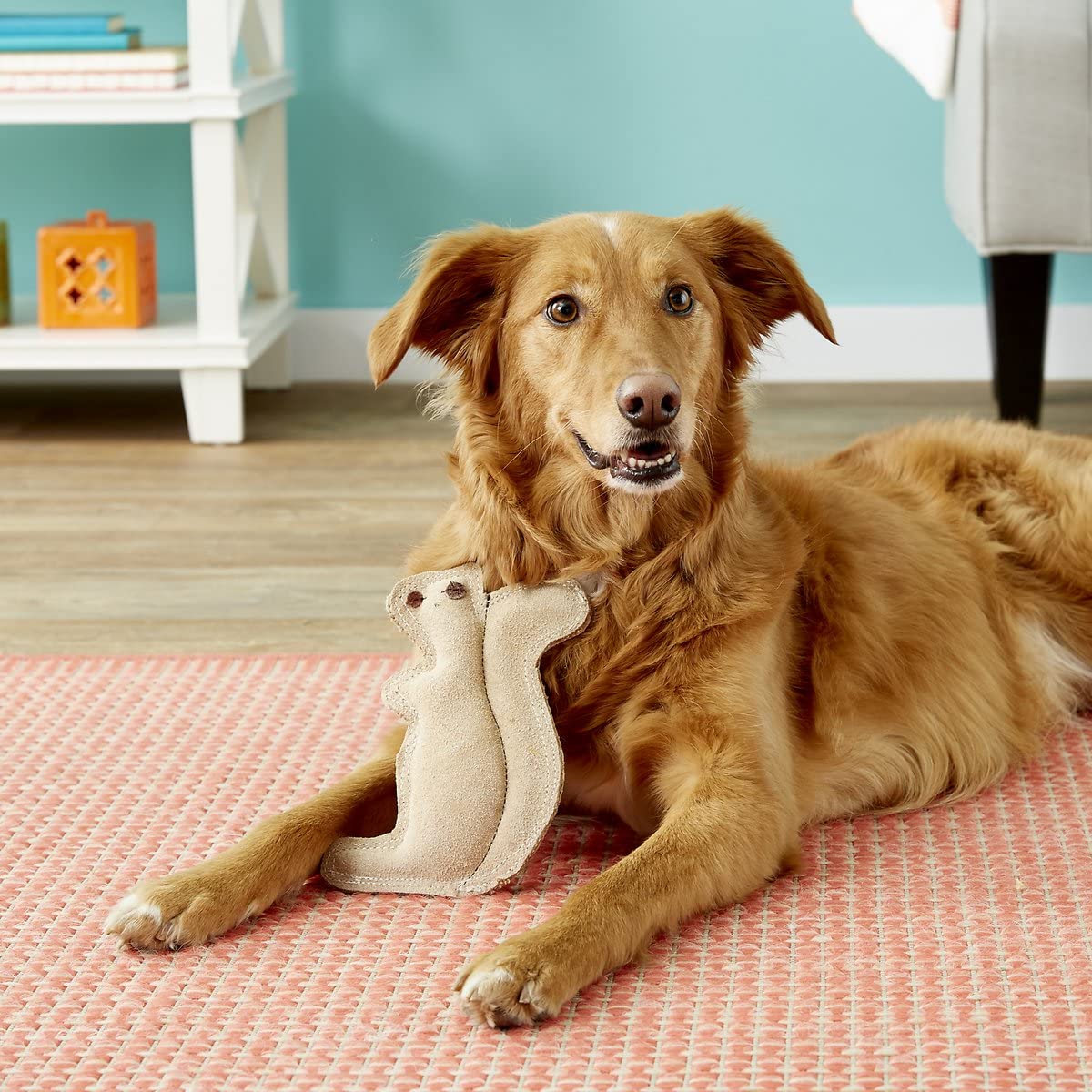 SPOT Dura-Fused Leather Squirrel Dog Toy – Real Leather & Jute Fabric, Double-Stitched & Durable, Soft Stuffed Squeaky Interactive Chew Toy for Moderate Chewers, Small & Medium Dogs, 8in