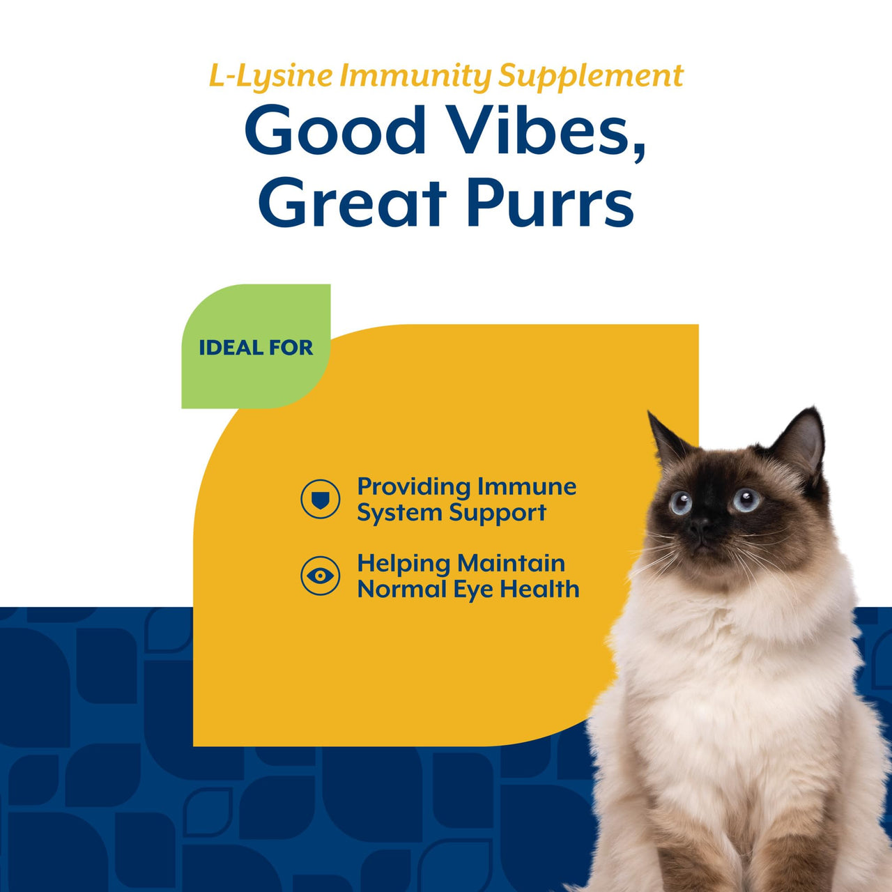 NaturVet L-Lysine Immune Support Plus Antioxidants Cat Supplement – Helps Support Eye Health, Immune System for Cats – Includes Amino Acids – 60 Ct. Soft Chews, 30-Day Supply