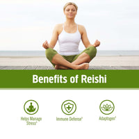Thumbnail for Om Mushroom Superfood Reishi Organic Mushroom Powder, 100 Servings, Organic Adaptogen Powder for Stress Relief and Immune Health