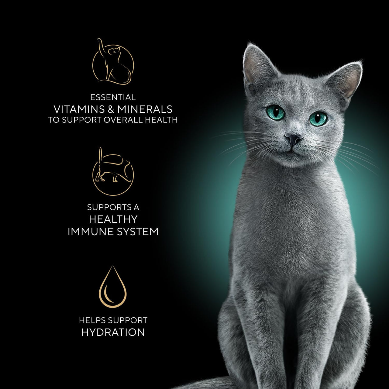 Sheba Perfect Portions Wet Cat Food Cuts in Gravy, Cat Food Wet Recipe, Sustainable Tuna Entree, 2.6 oz. Twin-Pack Trays (24 Count, 48 Servings)