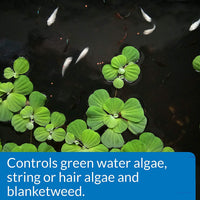 Thumbnail for API POND ALGAEFIX Algae Control 64-Ounce Bottle (FF-169D)