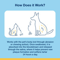 Thumbnail for ProDen PlaqueOff Soft Chews with Natural Kelp - for Large & Giant Breed Dogs - Supports Normal, Healthy Teeth, Gums, and Breath Odor in Dogs - 90 Soft Chews