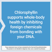 Thumbnail for Life Extension Chlorophyllin, antioxidant & DNA Health Support, Gluten-Free, Non-GMO, Vegetarian, 100 Vegetarian Capsules