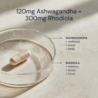 Thumbnail for Blueprint Bryan Johnson Ashwagandha & Rhodiola Supplement – 120mg Ashwagandha + Rhodiola Root – Daily Adaptogen Capsules for Stress Support, Mood Balance, Energy & Focus – 30 Vegan Capsules