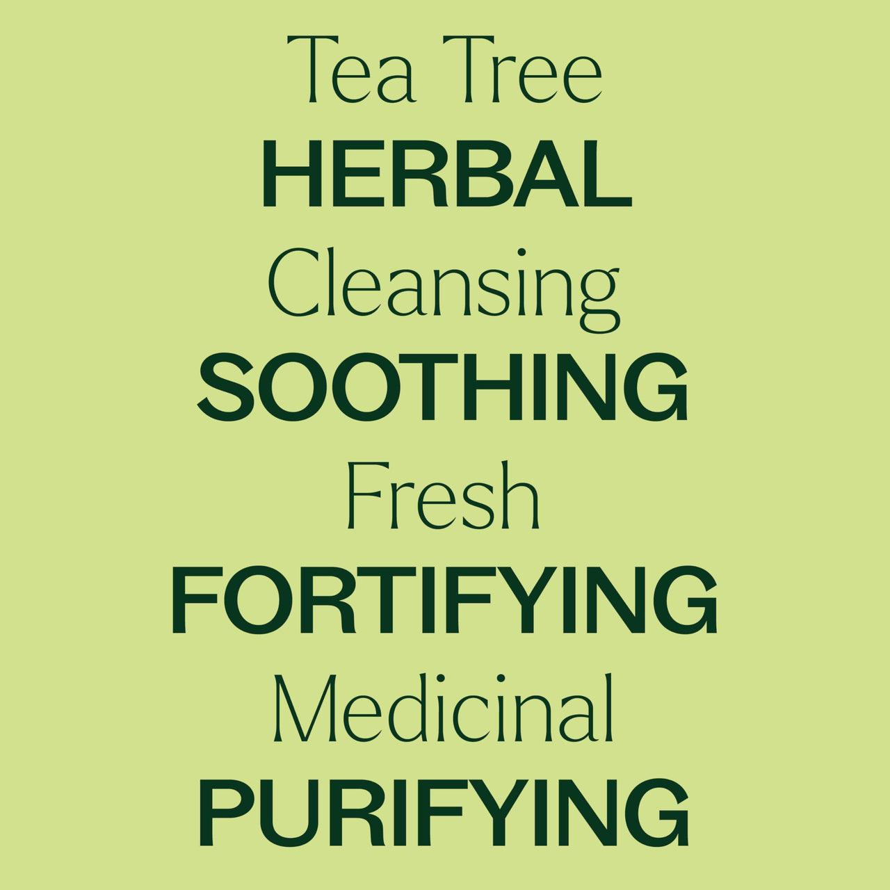 Plant Therapy Organic Tea Tree Oil (Melaleuca) 100% Pure, USDA Certified Organic, Undiluted, Natural Aromatherapy, Therapeutic Grade 30 mL (1 oz)