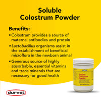 Thumbnail for Durvet Soluble Colostrum Powder, 18 Ounce Container