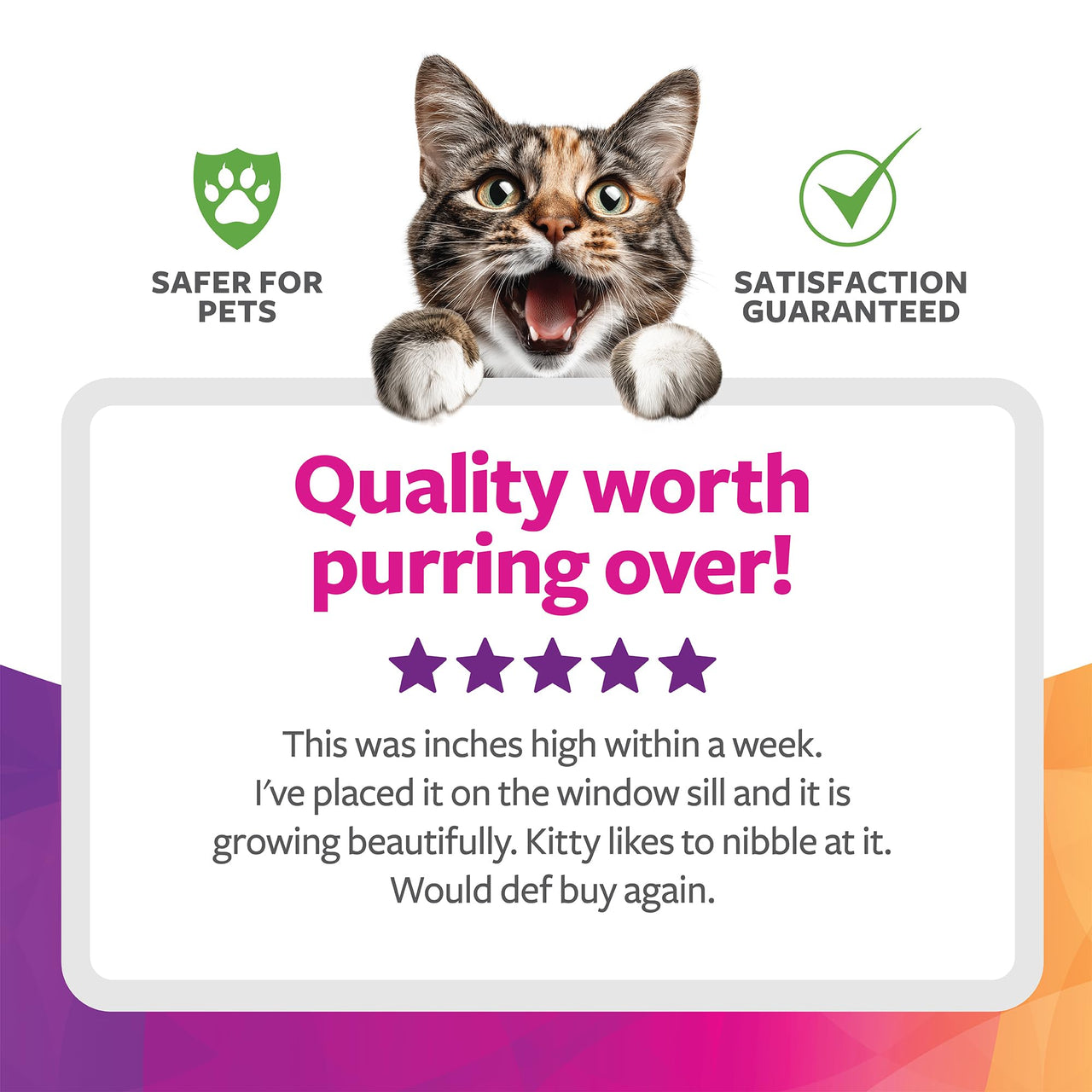 SmartyKat Sweet Greens Organic Oat Grass All-in-One Cat Grass Grow Kit, Easy-to-Grow to Support Digestion & Hairball Reduction