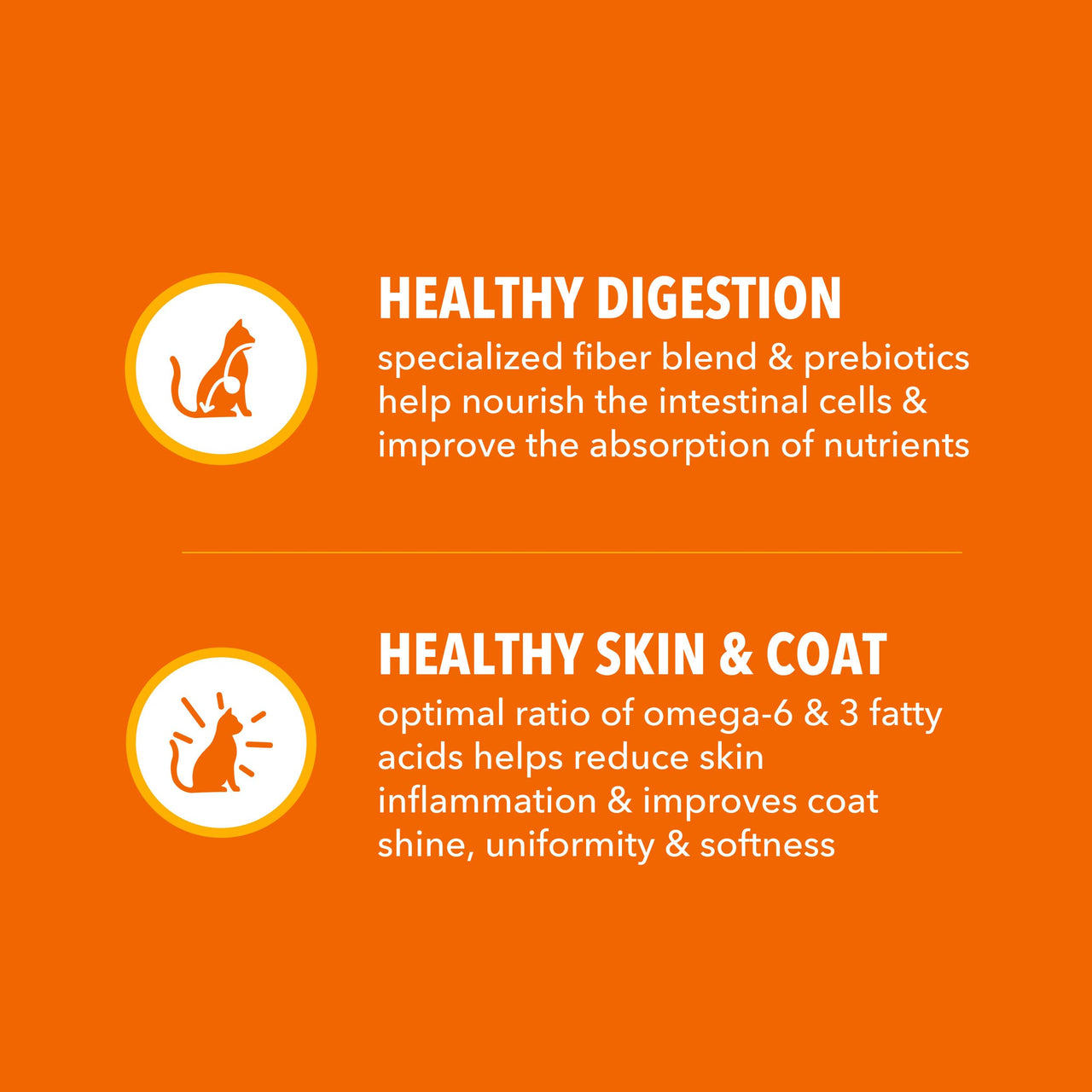 IAMS Proactive Health Dry Cat Food, Healthy Cat Food Dry Recipe for Adults, with Chicken 7 lb. Bag