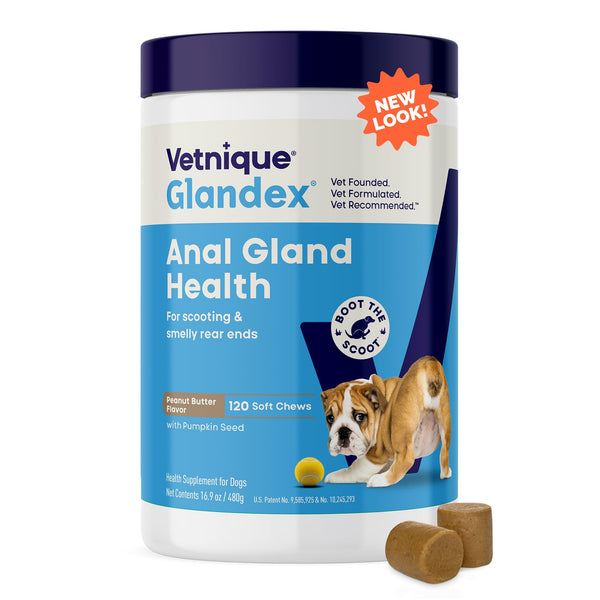 Vetnique Glandex Anal Gland Soft Chew Treats with Pumpkin for Dogs Digestive Enzymes, Probiotics Fiber Supplement for Dogs Boot The Scoot (Peanut Butter Chews, 120 Count)