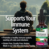 Thumbnail for Nature's Answer Echinacea and Goldenseal with Organic Alcohol, 1-Fluid Ounce