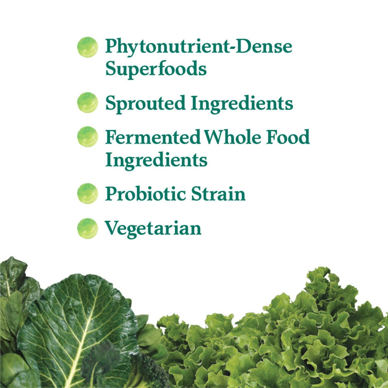 Garden of Life Perfect Food Super Green Formula - 60 Servings, 45 Superfoods, Greens, Fruit & Veggie Juice Superfood Powder Supplement, Probiotics & Organic Spirulina for Digestion & Immune Health