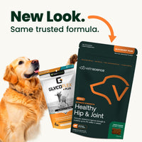 Thumbnail for VetriScience Ultimate Strength Healthy Hip & Joint Chews, GlycoFlex Glucosamine, Chondroitin and Green-Lipped Mussel Joint Support Supplement for Dogs, Soothe Joint Discomfort, Duck, 60 Count