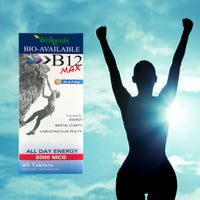 Thumbnail for Wellgenix Bio-Available Sublingual B12 B6 Folate Vitamin Formulated for High Absorption - Nutritional Multivitamin Supplement (60 ct) 1 Pack