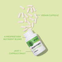 Thumbnail for Vimergy Celeryforce – Nutrients and Amino Acids – Supports Your Wellness Routine* – Kosher, Vegan & Gluten-Free – 60 Capsules