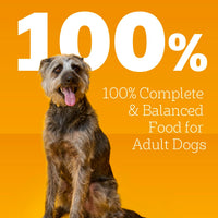 Thumbnail for Pedigree Wet Dog Food, Choice Cuts Adult Canned Dog Food Variety Pack, 13.2 oz. Cans, 12 Count