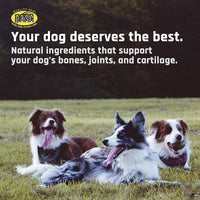 Thumbnail for Majesty's Buddy Bites Hip and Joint Wafers for Medium / Large Dogs - Superior Support Supplement - Peanut Butter and Coconut Oil Flavored - 56 Count (Up To 8 Week Supply)