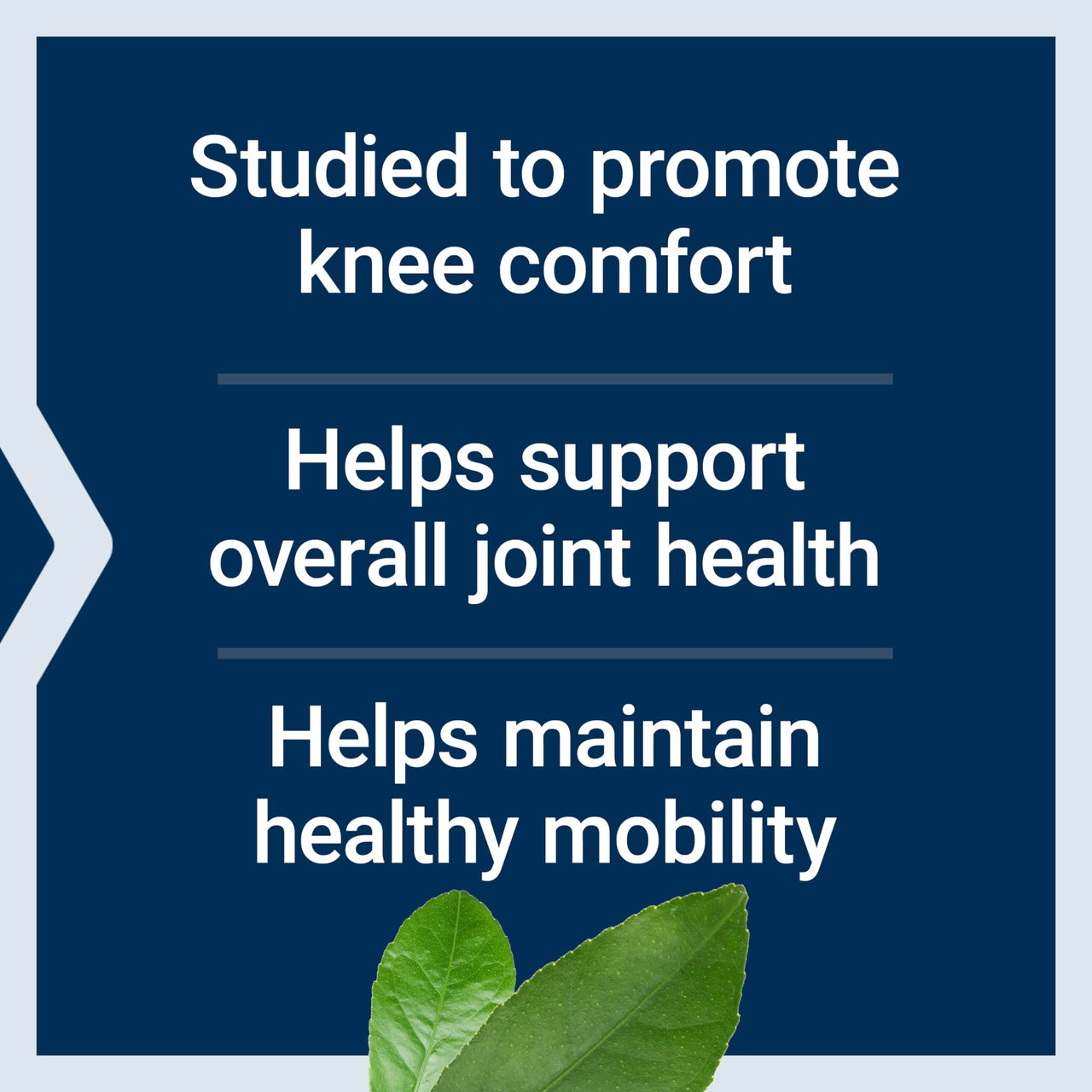 Life Extension Glucosamine Sulfate, 750 mg, Supports Knee Comfort and Joint Health, Gluten-Free, Non-GMO, 60 Capsules