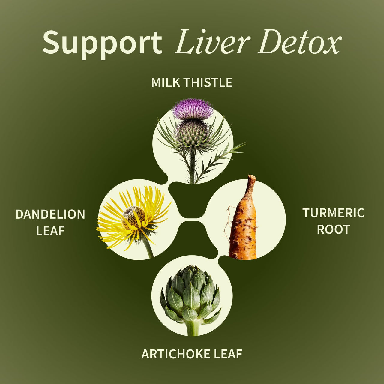 Snap Supplements Liver Health & Detox - Milk Thistle Supplement Supports Healthy Liver and Digestive Health, 60 Vegetarian Capsules (1 Month Supply)