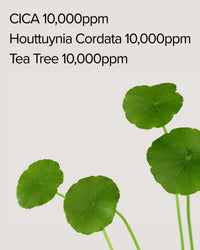 Thumbnail for Mary&May CICA Houttuynia Tea Tree Calming Mask - Daily Pull Out Sheet Mask for Instant Soothing & Moisturizing - Korean Skincare, Hypoallergenic and Cruelty-Free, 30 Sheets
