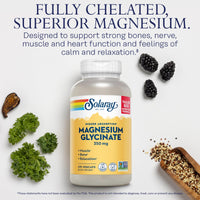 Thumbnail for SOLARAY Magnesium Glycinate Capsules, Chelated Magnesium Bisglycinate w/BioPerine, Higher Absorption Magnesium Supplement - Bones, Muscles, Heart Support, Vegan, 68 Servings, 275 VegCaps