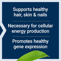 Thumbnail for Life Extension Biotin 600 mcg Vitamin B7 Support Supplement for Beautiful Hair, Nails & Beyond – Gluten-Free, Non-GMO - 100 Capsules