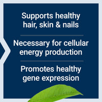 Thumbnail for Life Extension Biotin 600 mcg Vitamin B7 Support Supplement for Beautiful Hair, Nails & Beyond – Gluten-Free, Non-GMO - 100 Capsules