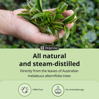 Thumbnail for De La Cruz 100% Pure Tea Tree Essential Oil from Australia - Steam Distilled for Aromatherapy - 1 FL OZ (30 mL)