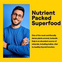 Thumbnail for Nature's Life Icelandic Kelp 41 mg - Sea Kelp Iodine Supplement from Icelandic Seawater - Thyroid Support for Women and Men with 225mcg Natural Iodine - 60-Day Guarantee, 250 Servings, 250 Tablets