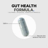 Thumbnail for Codeage Gut Health Supplements Vegan Formula - L Glutamine, Zinc, Turkey Tail Mushroom Powder, Tonic Mushroom, Maitake, Micro Algae, Mineral, Licorice Root DGL - Probiotics, Prebiotics - 2 Pack