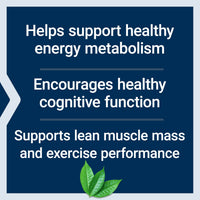 Thumbnail for Life Extension Creatine Acetyl-L-Carnitine Energy Plus, Energy Support Supplement, creatine monohydrate, Acetyl-L-carnitine, Gluten-Free, Non-GMO, Vegetarian, 30 Servings